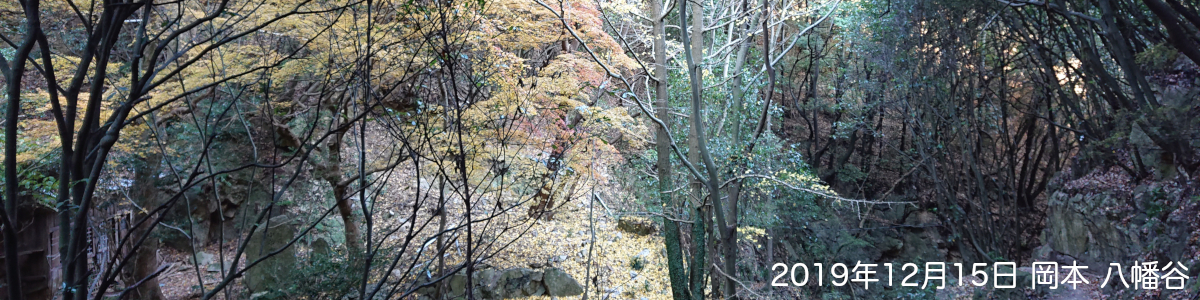 神戸、東灘、スポーツ、リウマチ、こどもの整形外科、赤松クリニックのウェブページの画像。2019年12月15日、岡本、八幡谷。