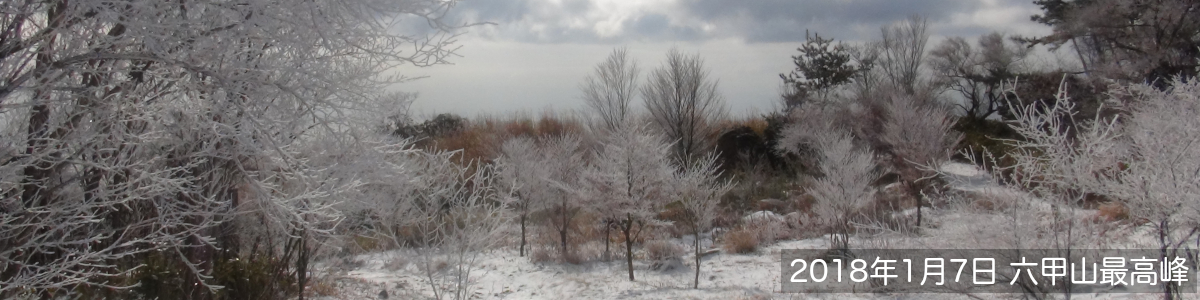 神戸、東灘、スポーツ、リウマチ、こどもの整形外科、赤松クリニックのウェブページの画像。2018年1月7日、六甲山最高峰